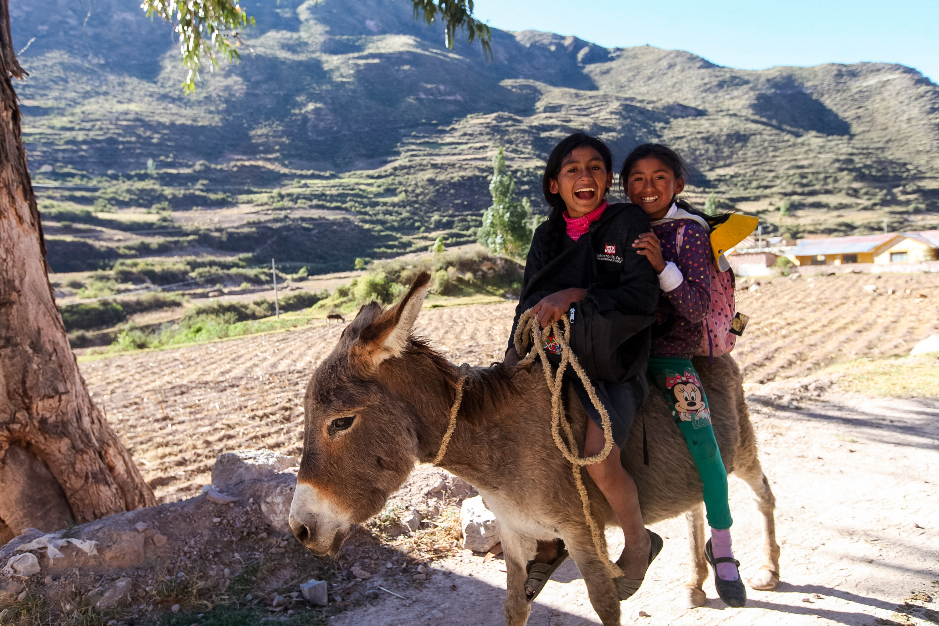 Children ride a donkey on a dirt path with terraced mountains behind