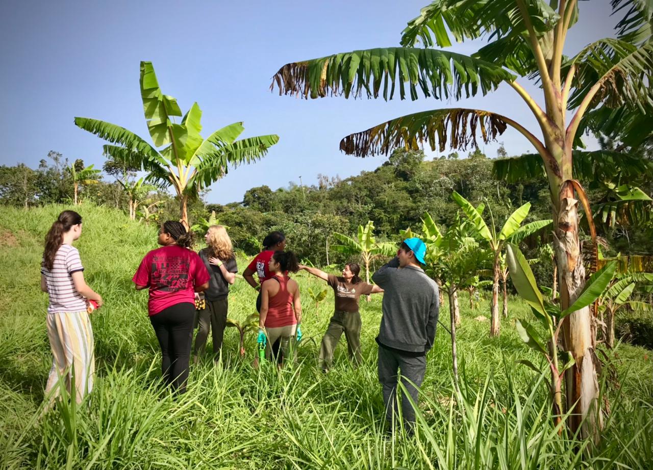 Students gather in a grassy field among banana trees on a farm