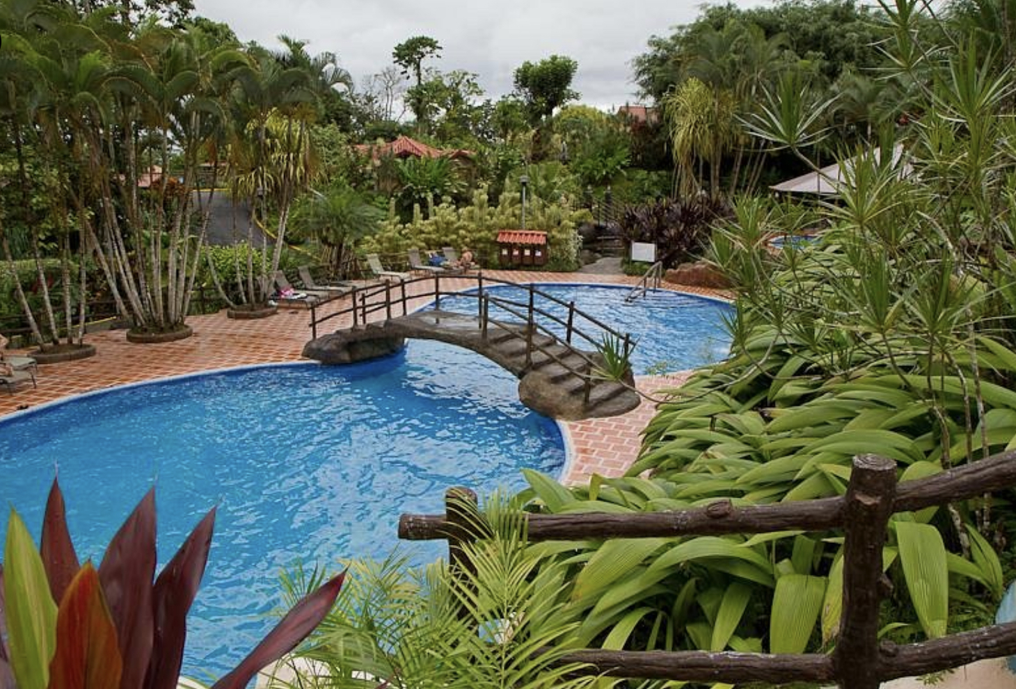 A curved pool with a small stone bridge, surrounded by tropical gardens