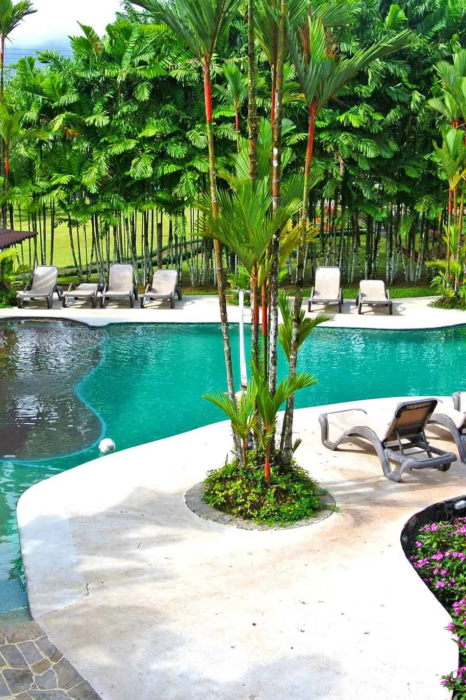 Costa Rica: Pura Vida Service | Rustic Pathways