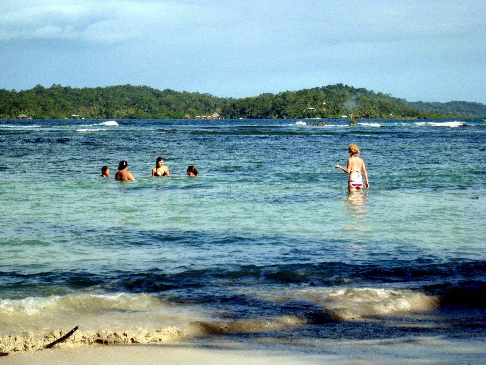 Students wade in shallow turquoise water near a forested island shoreline