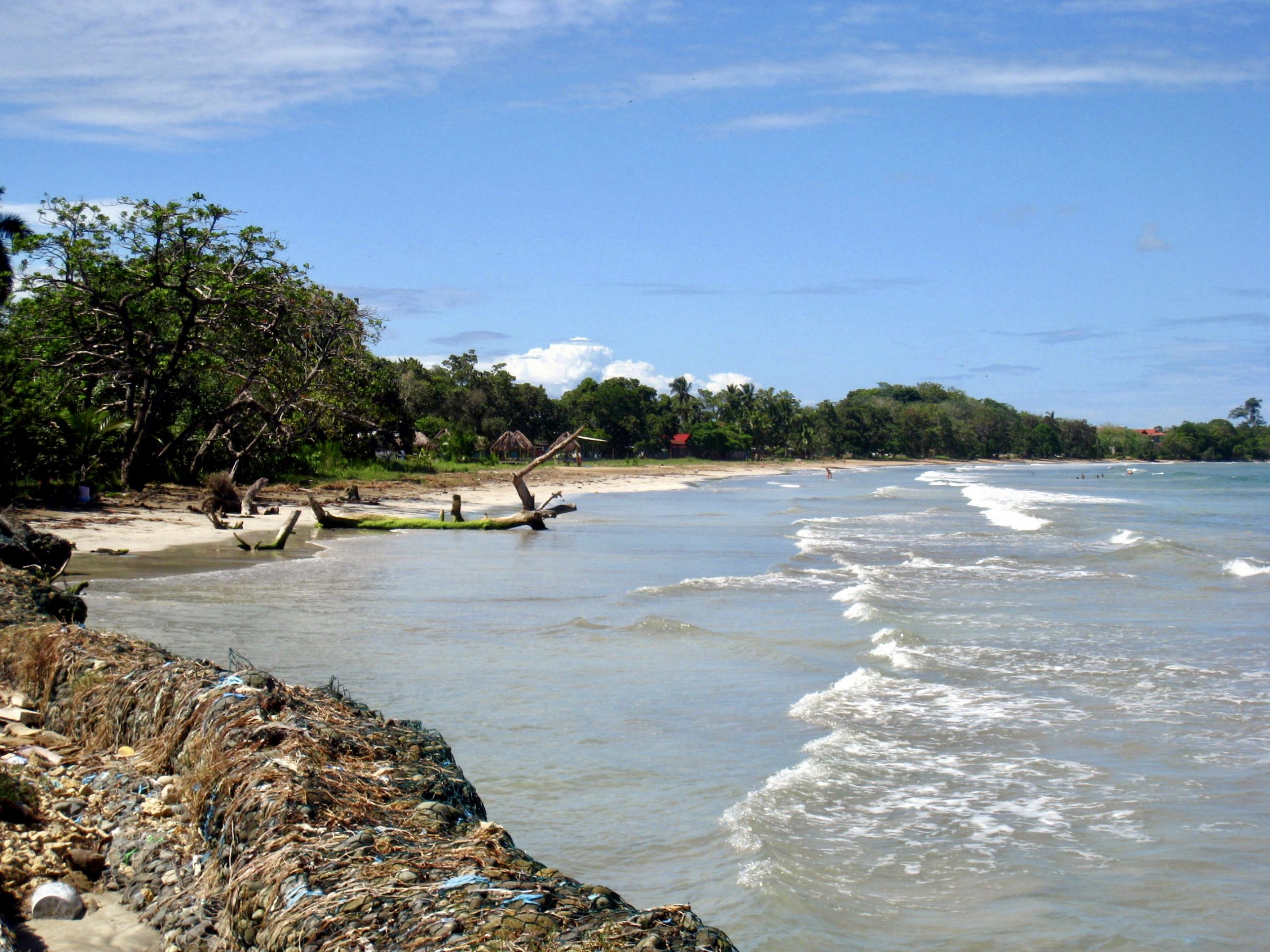 Student travelers walk a tree-lined tropical beach as waves roll in under a blue sky