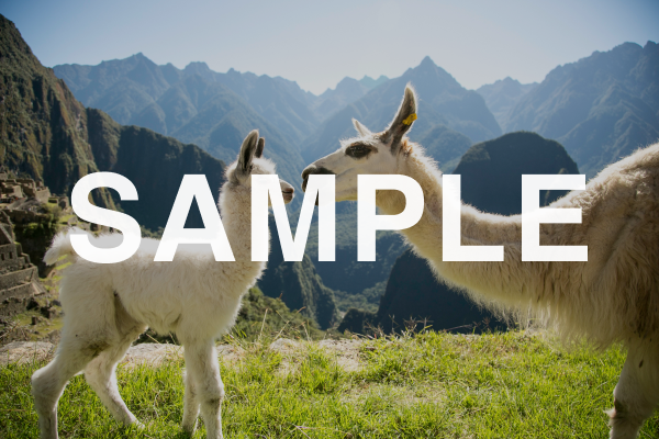 Peru: Machu Picchu and the Amazon