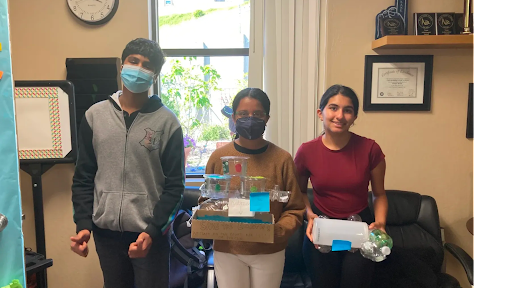 Sustainable Seeds of Change