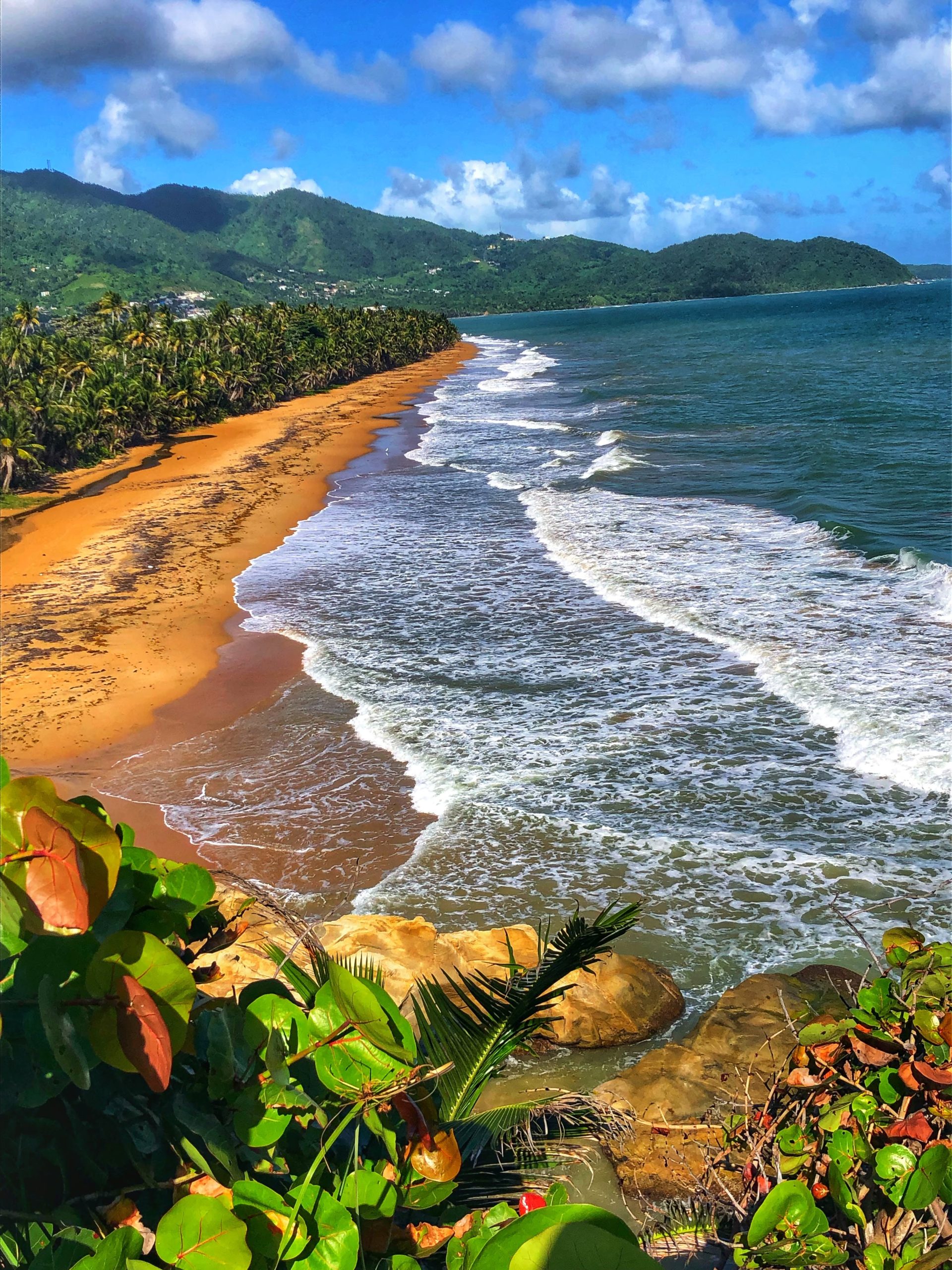 Students walk a golden-sand beach lined with palm trees and green mountains as waves roll in