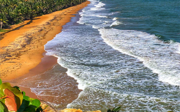 A long curve of surf running onto an empty sand beach backed by dense palms, with forested green hills rising behind and open water to the right.