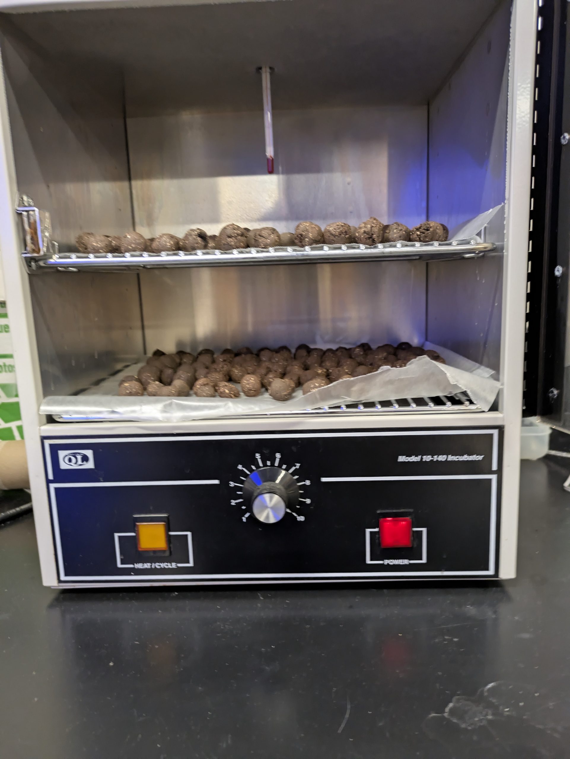 Raghav Ramprasad - A Ball of Dirt Can Change the World - Image 2