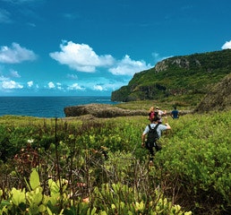 Rustic Pathways student planting mangroves in the Dominican Republic