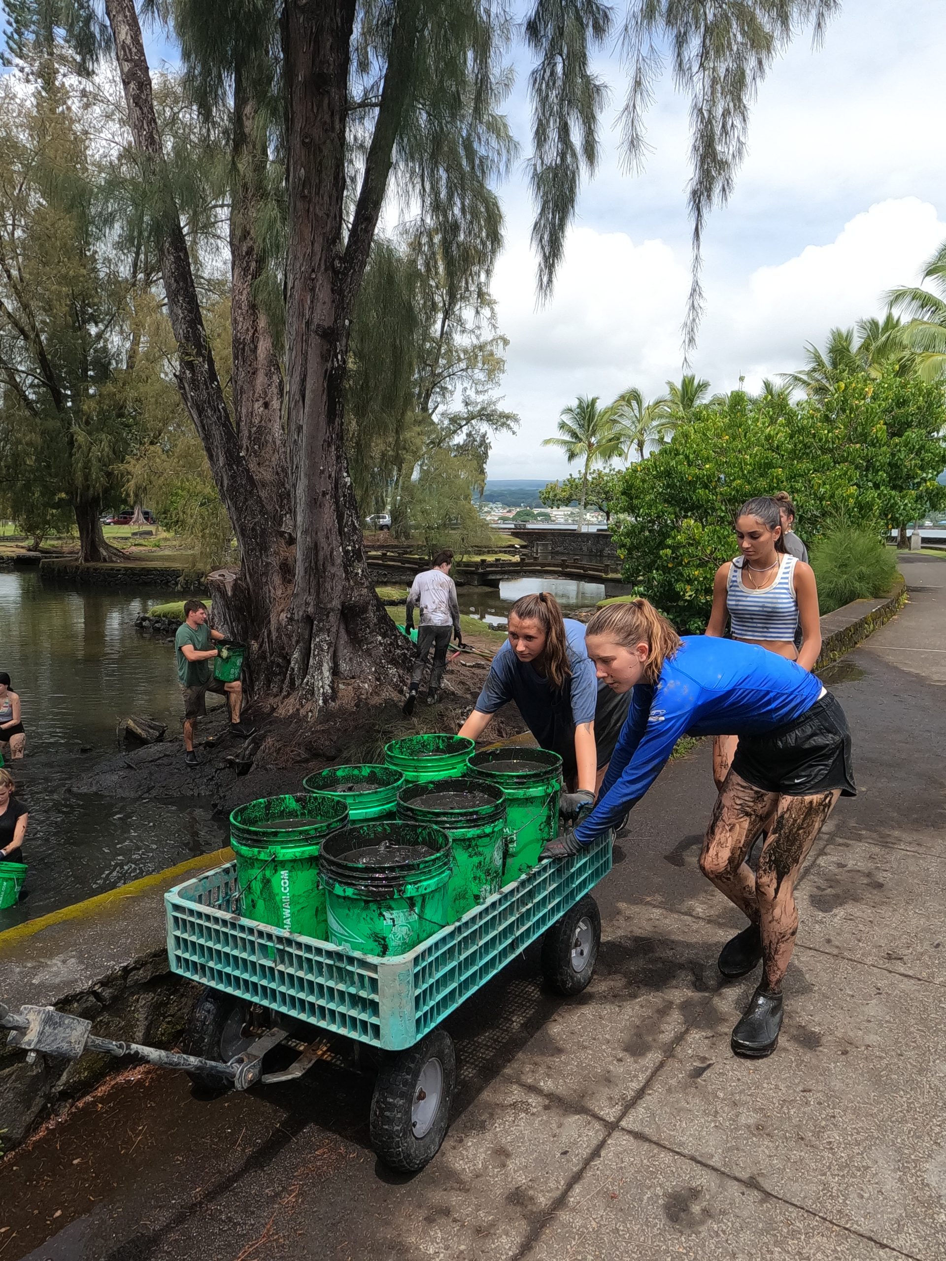 Students push a cart loaded with buckets of mud along a waterside path