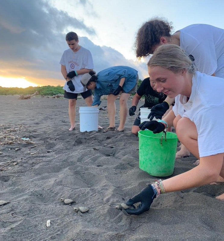 Volunteers participating in turtle conservation