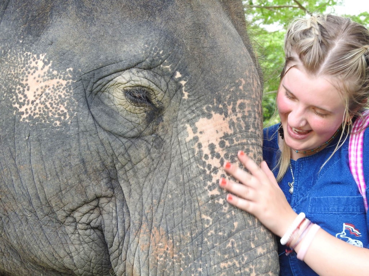 Students gently touch an elephant's face during a close encounter