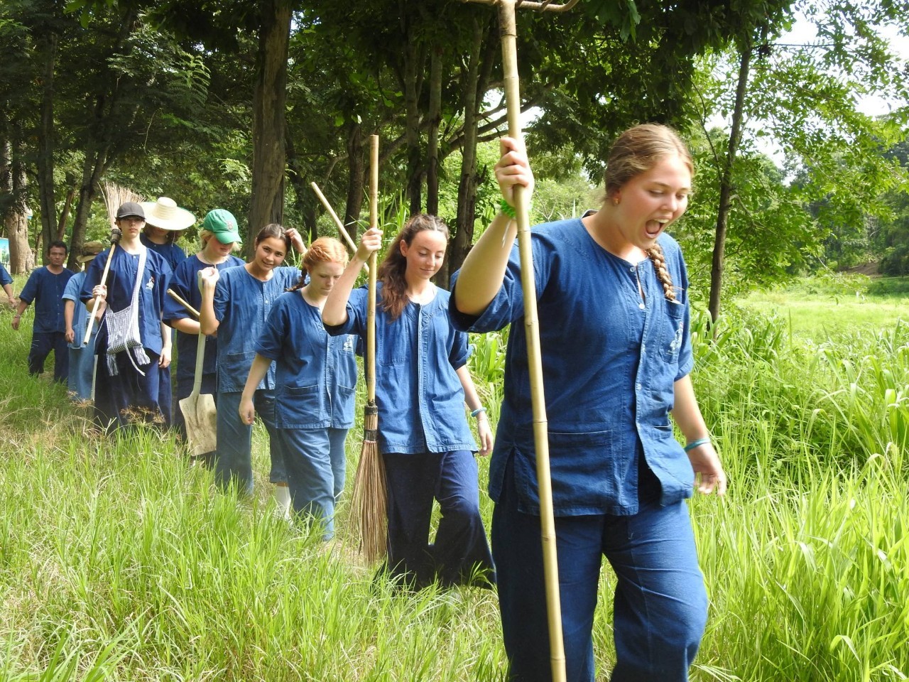 Students in matching blue uniforms carry tools while walking through tall grass near a forest