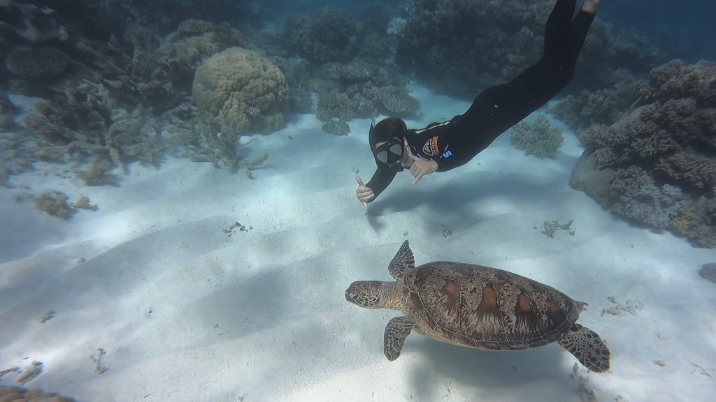 Diver giving a thumbs-up while swimming with a sea turtle near the Great Barrier Reef, Australia.