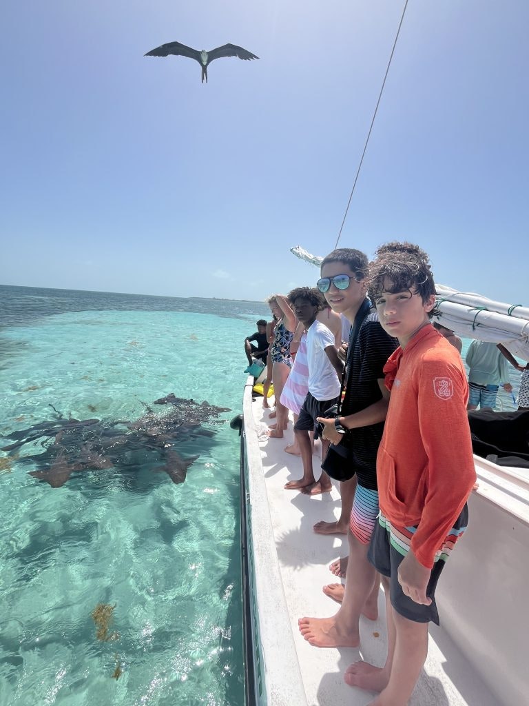 A group of Rustic Pathways students watch a school of nurse sharks in the water on a Belize teen tour