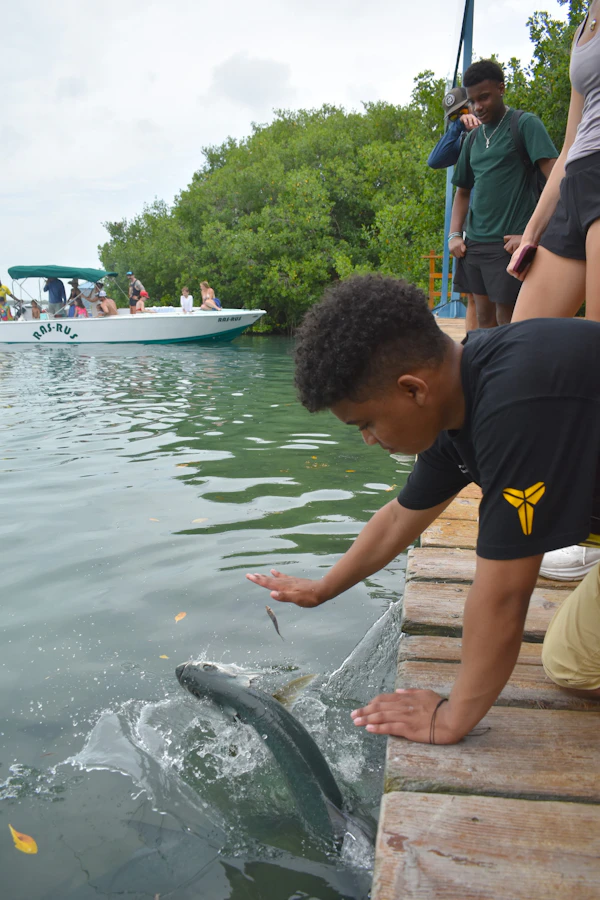 A teen traveler reaches down from a wooden dock as a tarpon leaps for food in Belize, with classmates behind