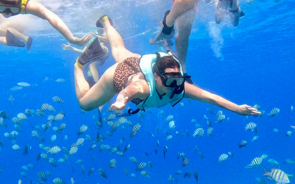 A student in a mask and snorkel vest glides underwater with arms spread above a school of striped fish, as other snorkelers kick at the surface overhead.