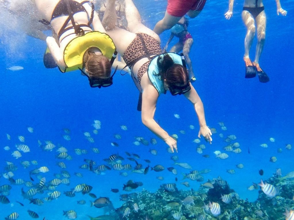 Students in life jackets and snorkels swim underwater observing a school of fish during a Dominican Republic teen tour