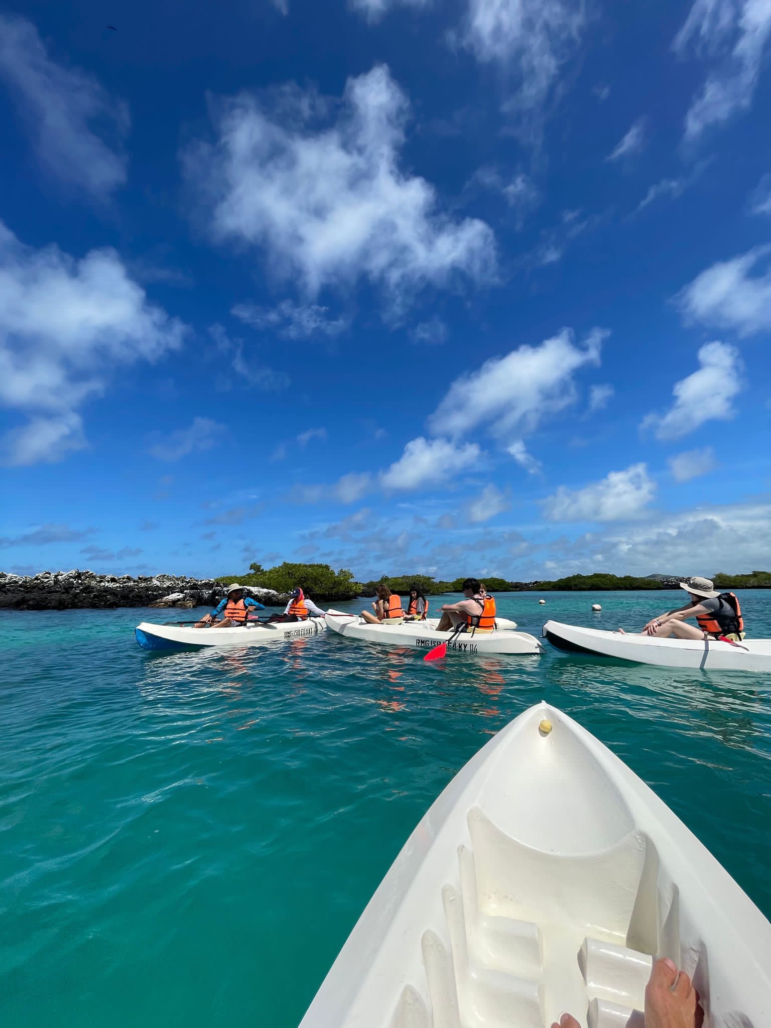 Students in life vests kayak across turquoise Galápagos waters near a mangrove shoreline