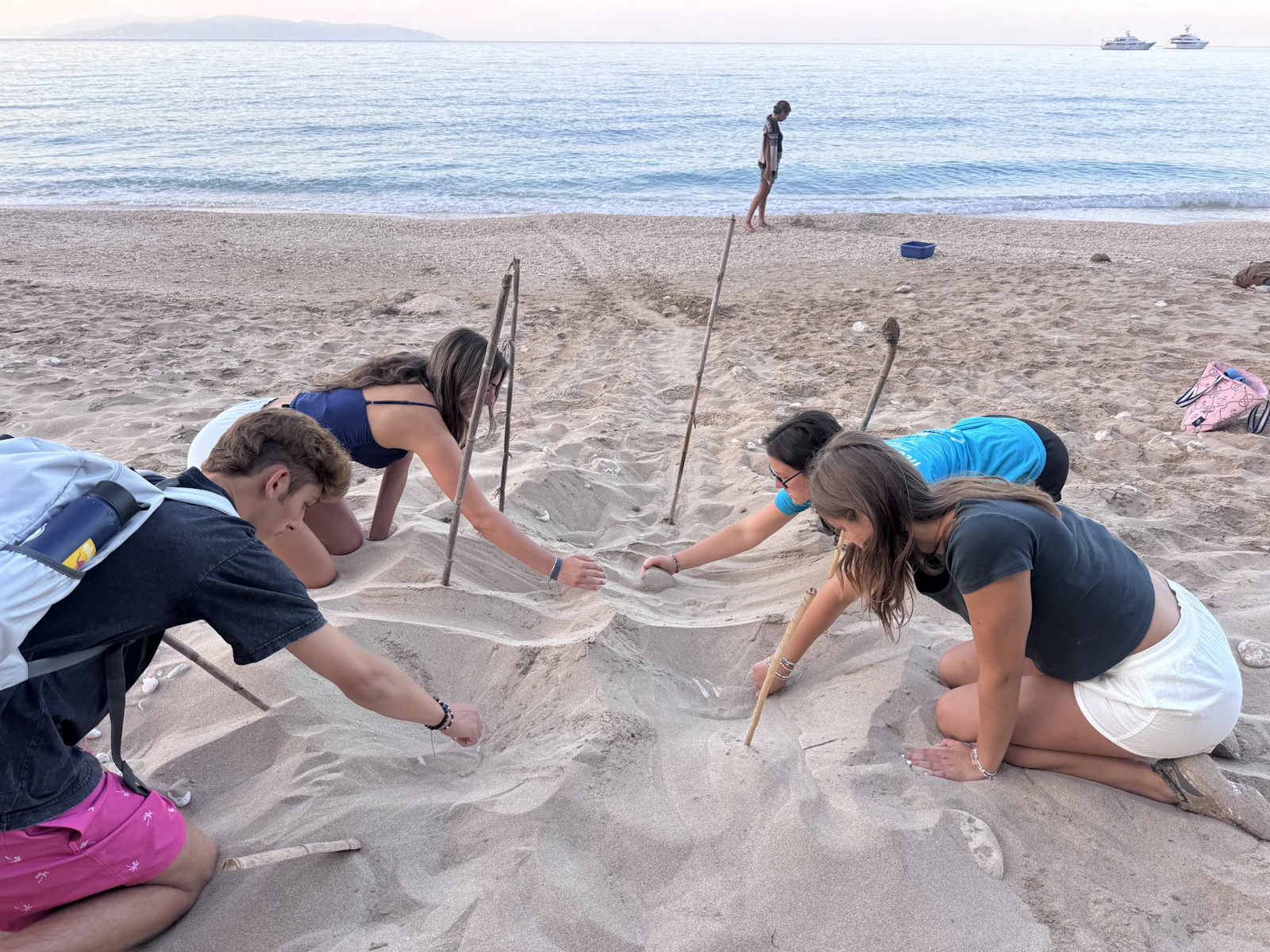 Students kneel on the sand around a sea turtle nest on a beach in Greece