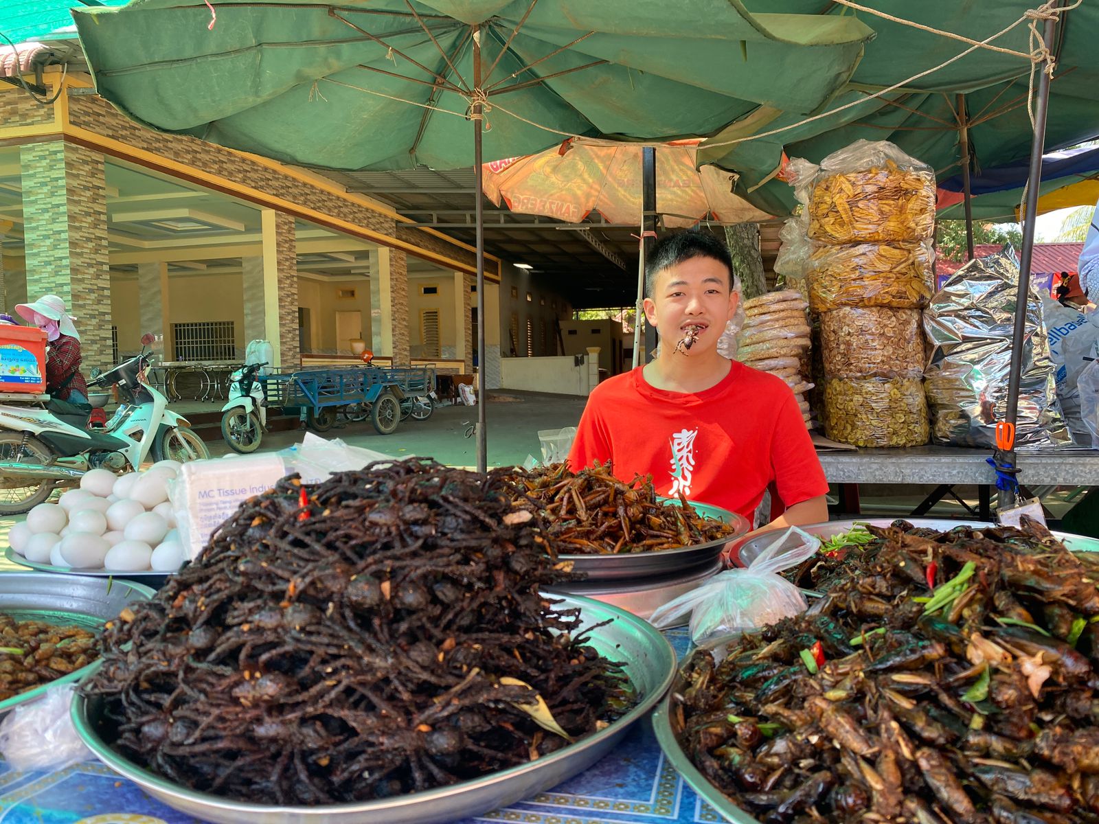 Students stand behind piles of fried crickets and insects at a market stall