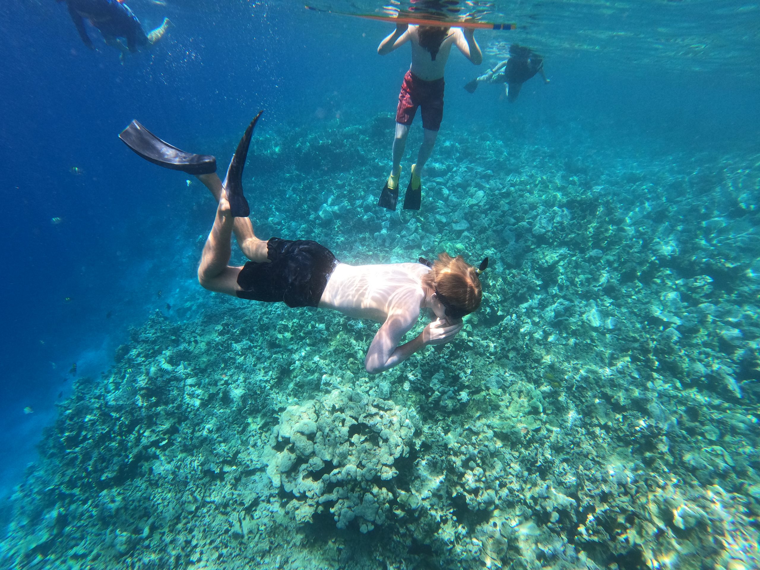 Snorkelers with fins glide over a coral reef underwater