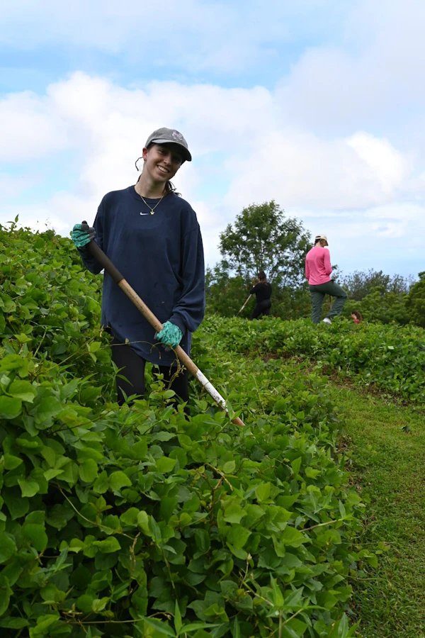 A teen traveler holds a hoe while weeding a hillside garden plot in Hawaii