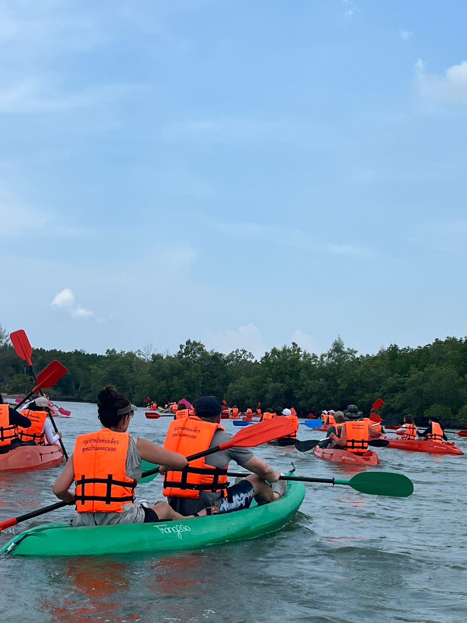 Students in life jackets paddle kayaks along a mangrove-lined waterway
