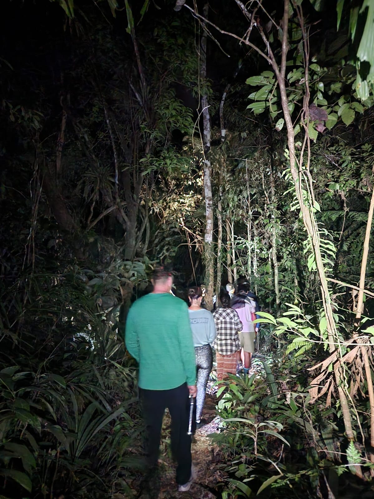 Students walk a jungle trail at night with flashlights