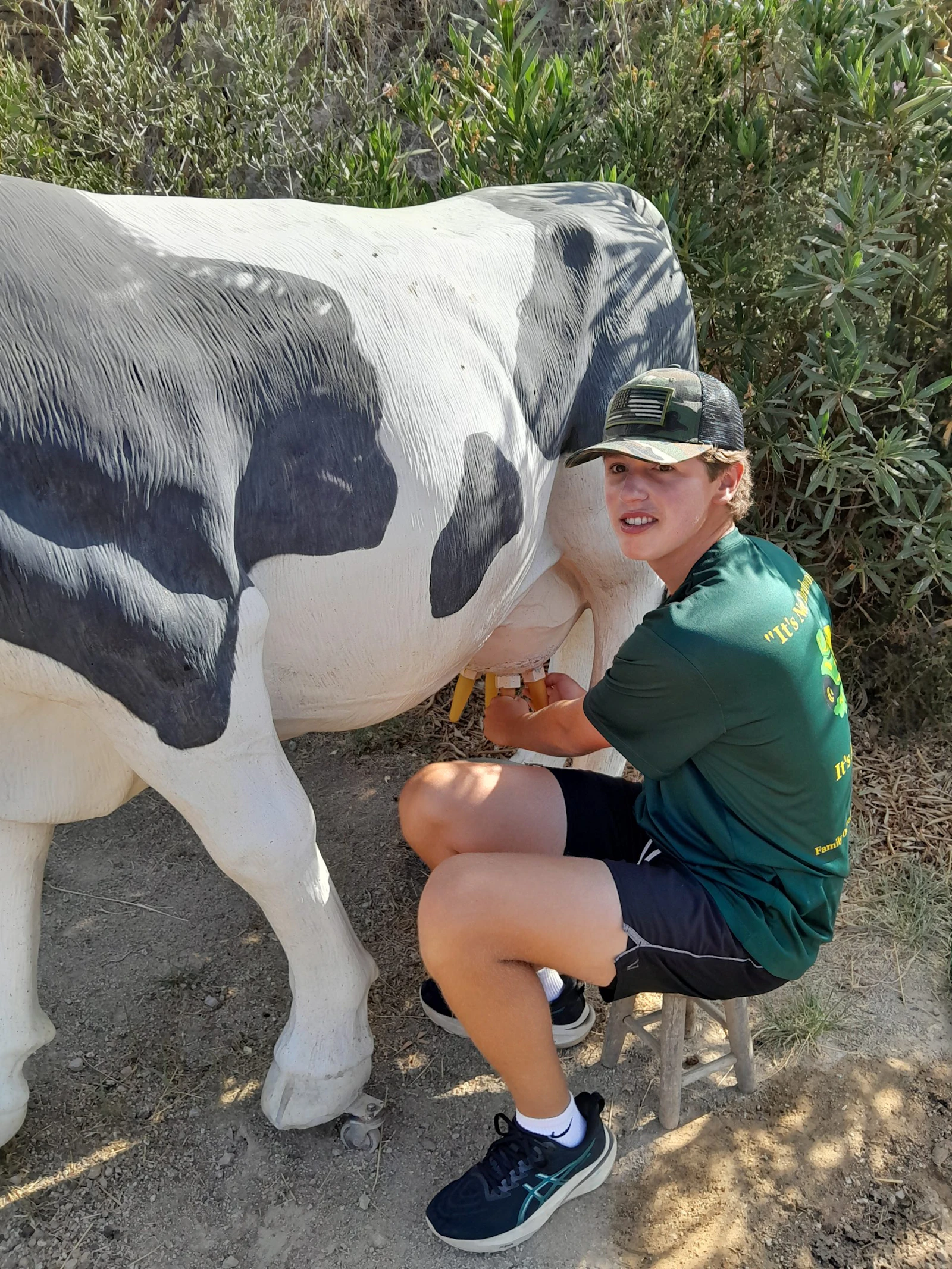A teen traveler in a cap sits on a stool beside a life-size model cow on a farm, pretending to milk it