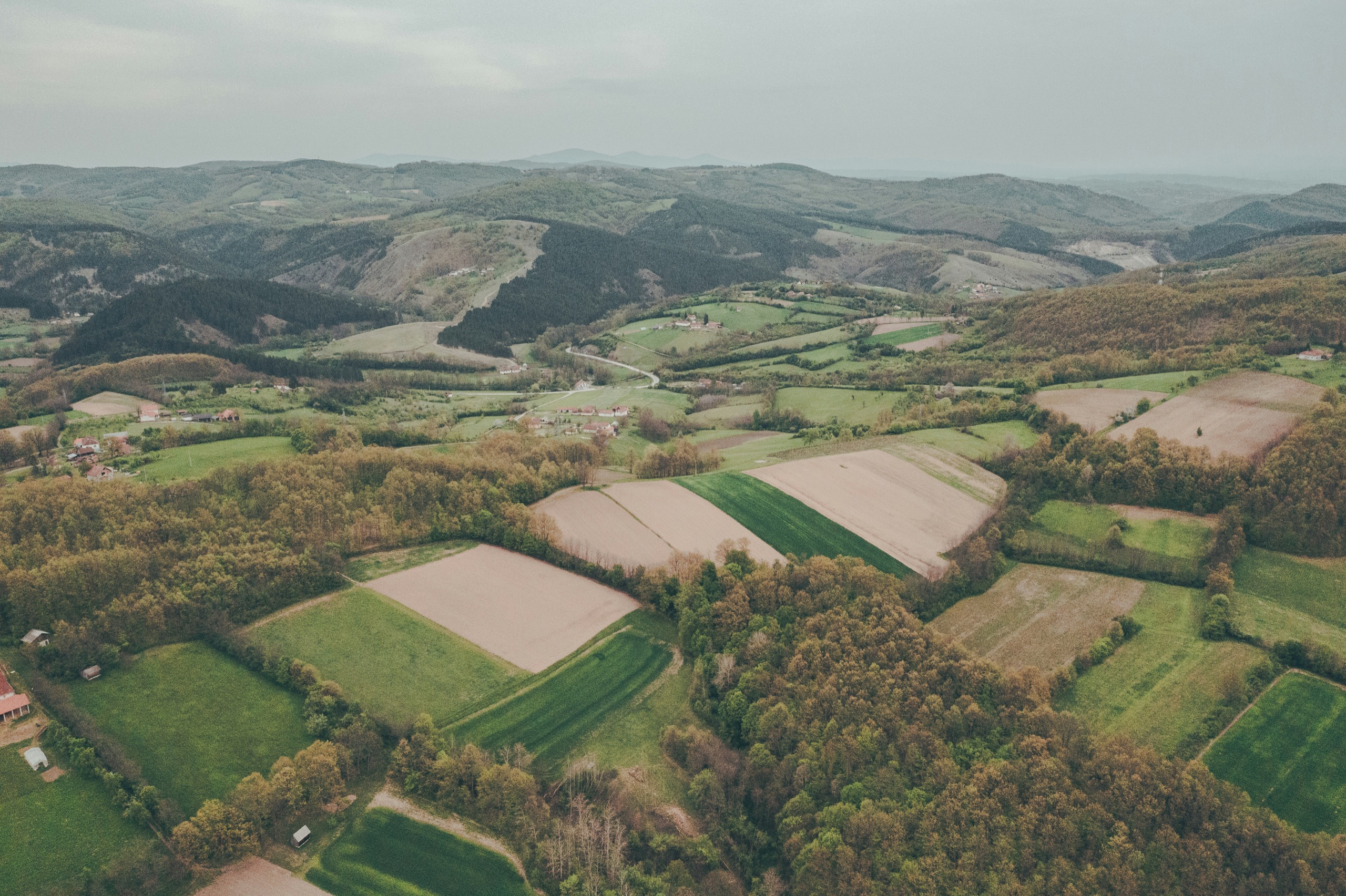 Rolling green-and-brown farmland dotted with scattered trees under an open sky.