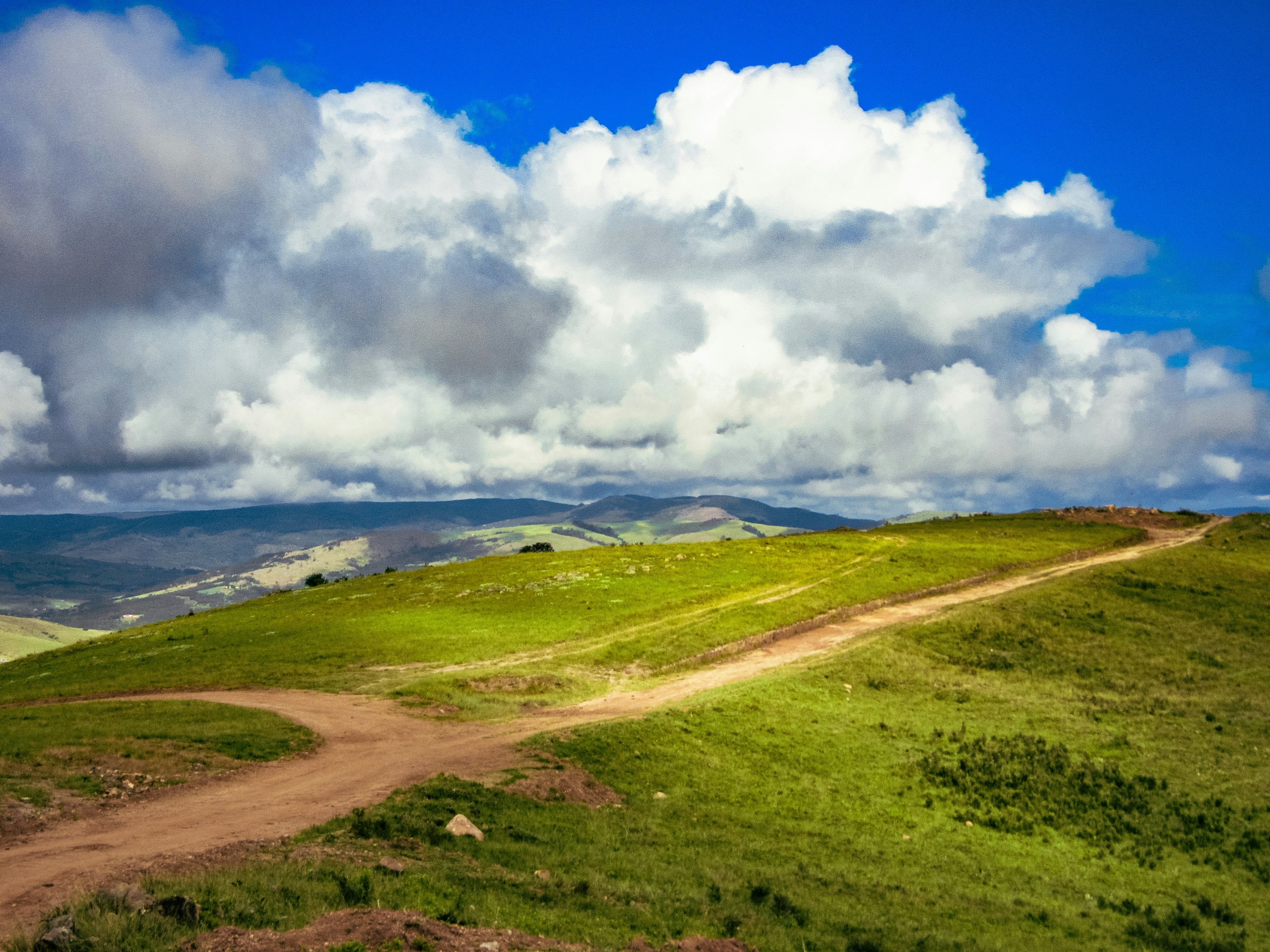 Two dirt tracks fork across a green hilltop toward a low ridge, under a sky filled with heaped white clouds.