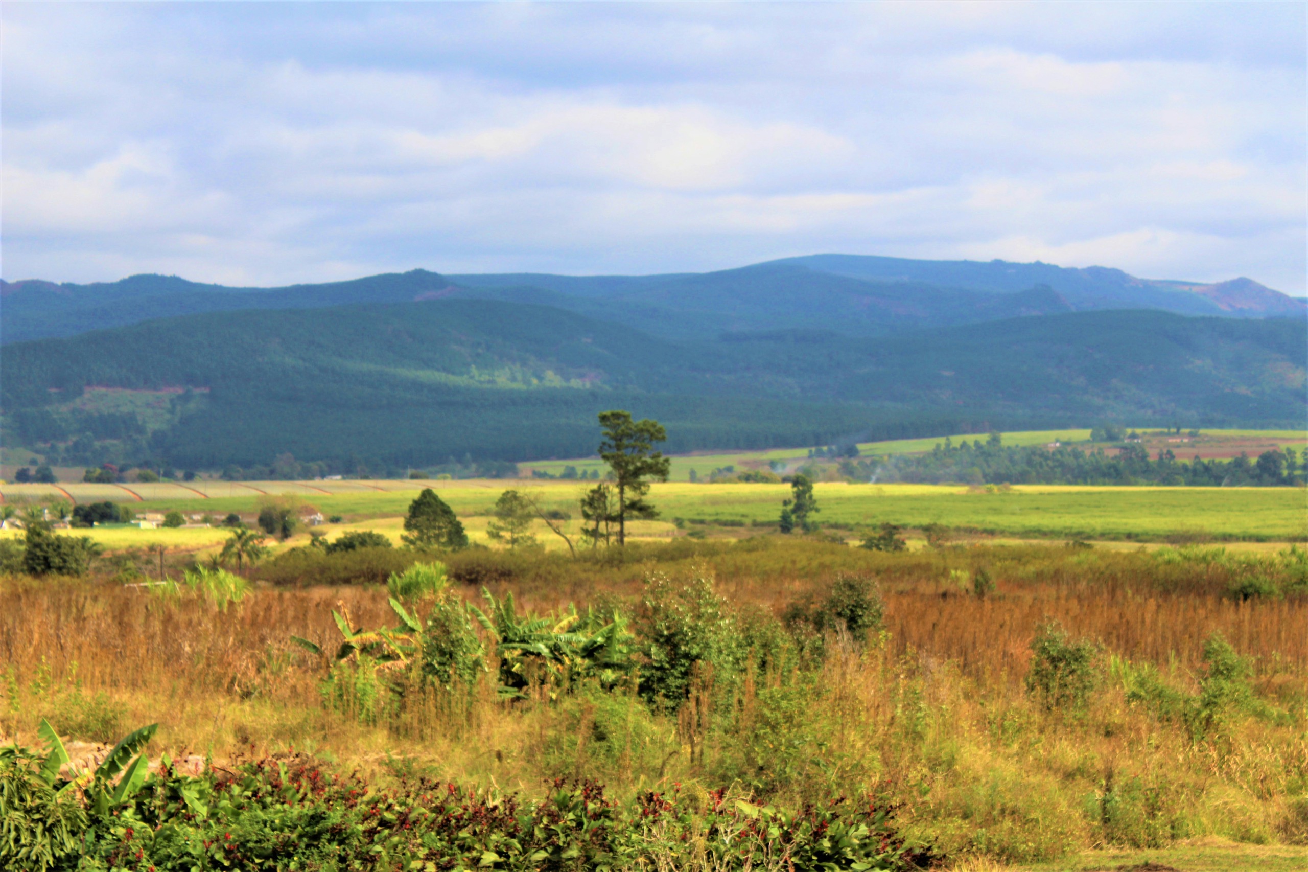 A wide plain of fields and bush in the foreground, with a line of distant mountains hazed by the afternoon light.