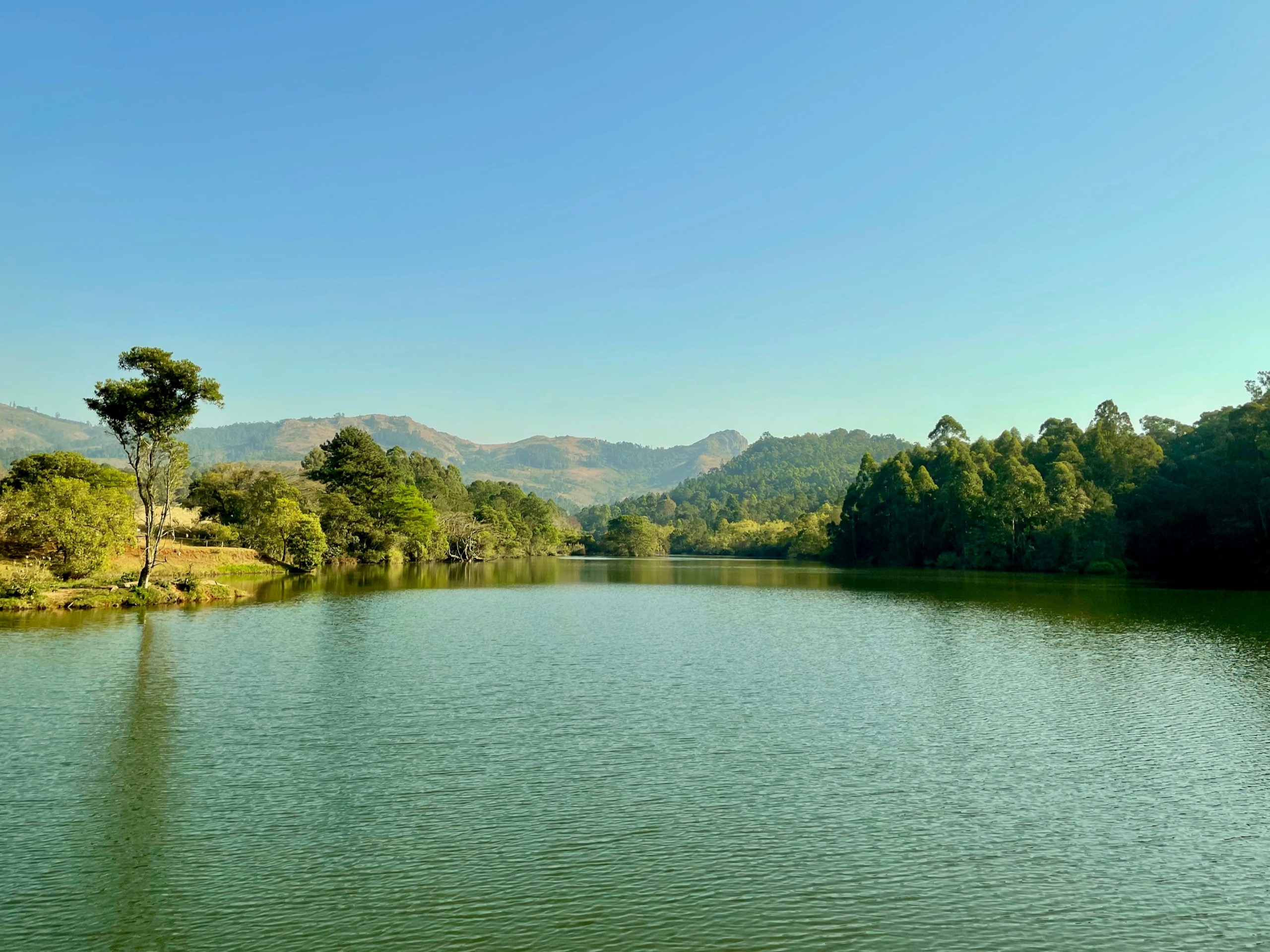 A still green dam reflects the trees on its banks, with low wooded hills rising behind it.
