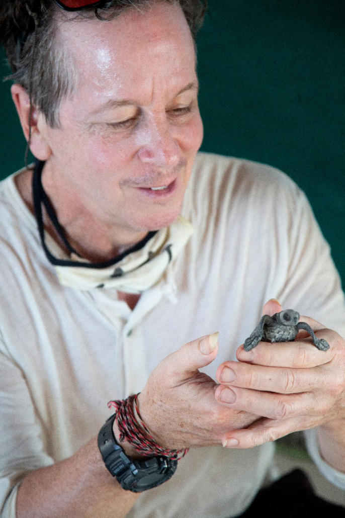 A man holds a small sea turtle hatchling at a conservation project