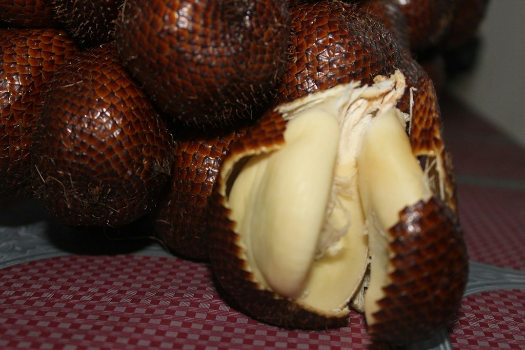 exotic fruit snake fruit