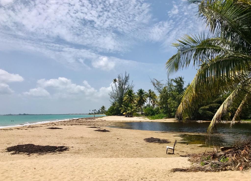 a white sandy beach in Puerto Rico with palm trees and soft white clouds.
