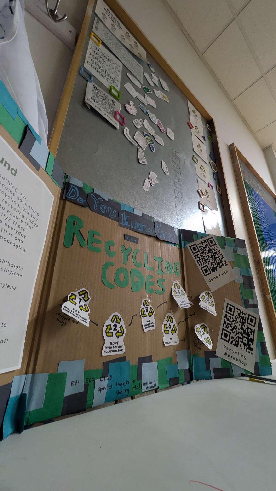 Shelley Ma - The Importance of Resources and Education to Promote Environmental Justice - Image 1