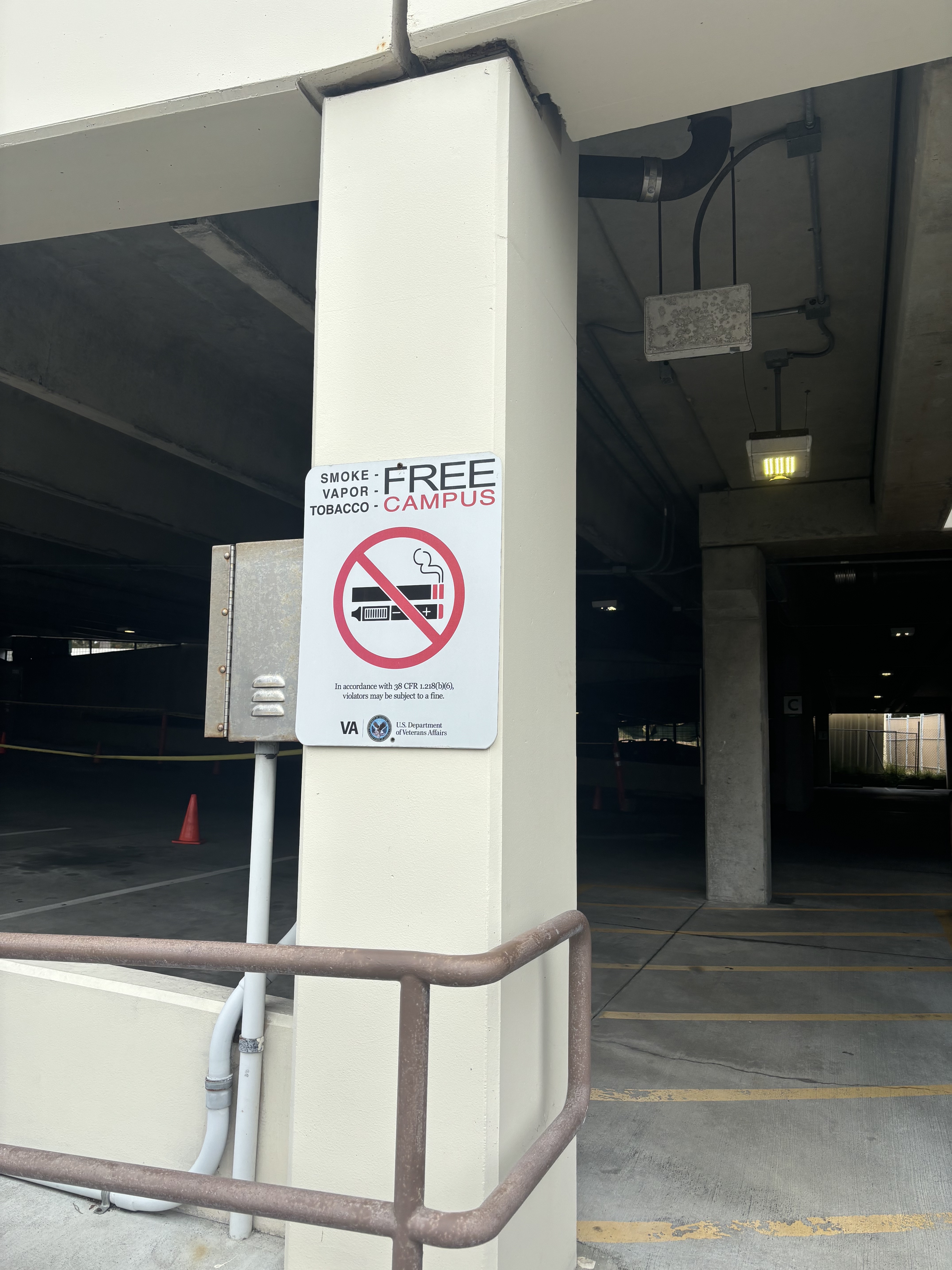 Skylla McArthur - Cigarette Butts & Preventing Harm To Marine Life - Image 1