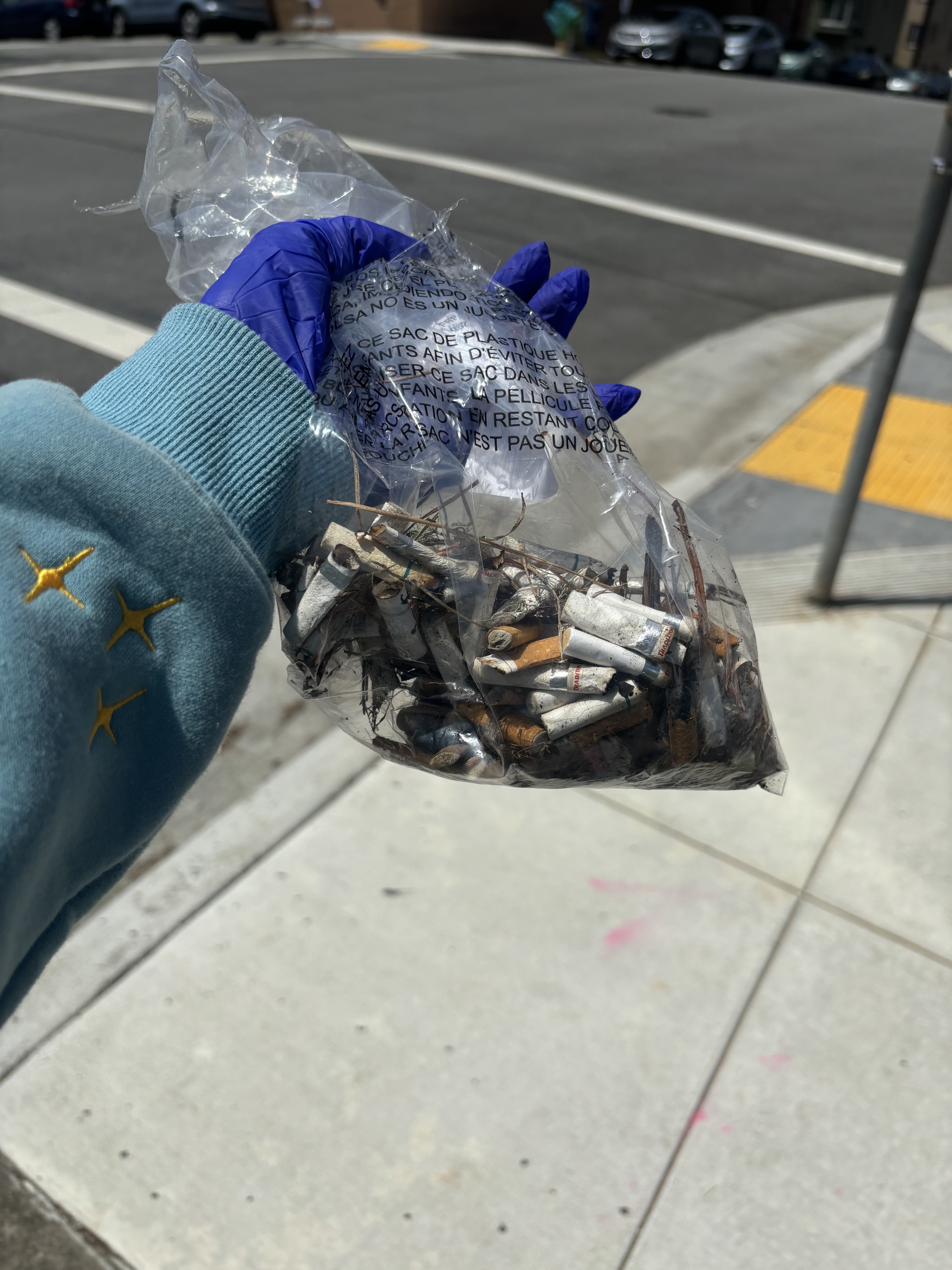 Skylla McArthur - Cigarette Butts & Preventing Harm To Marine Life - Image 2