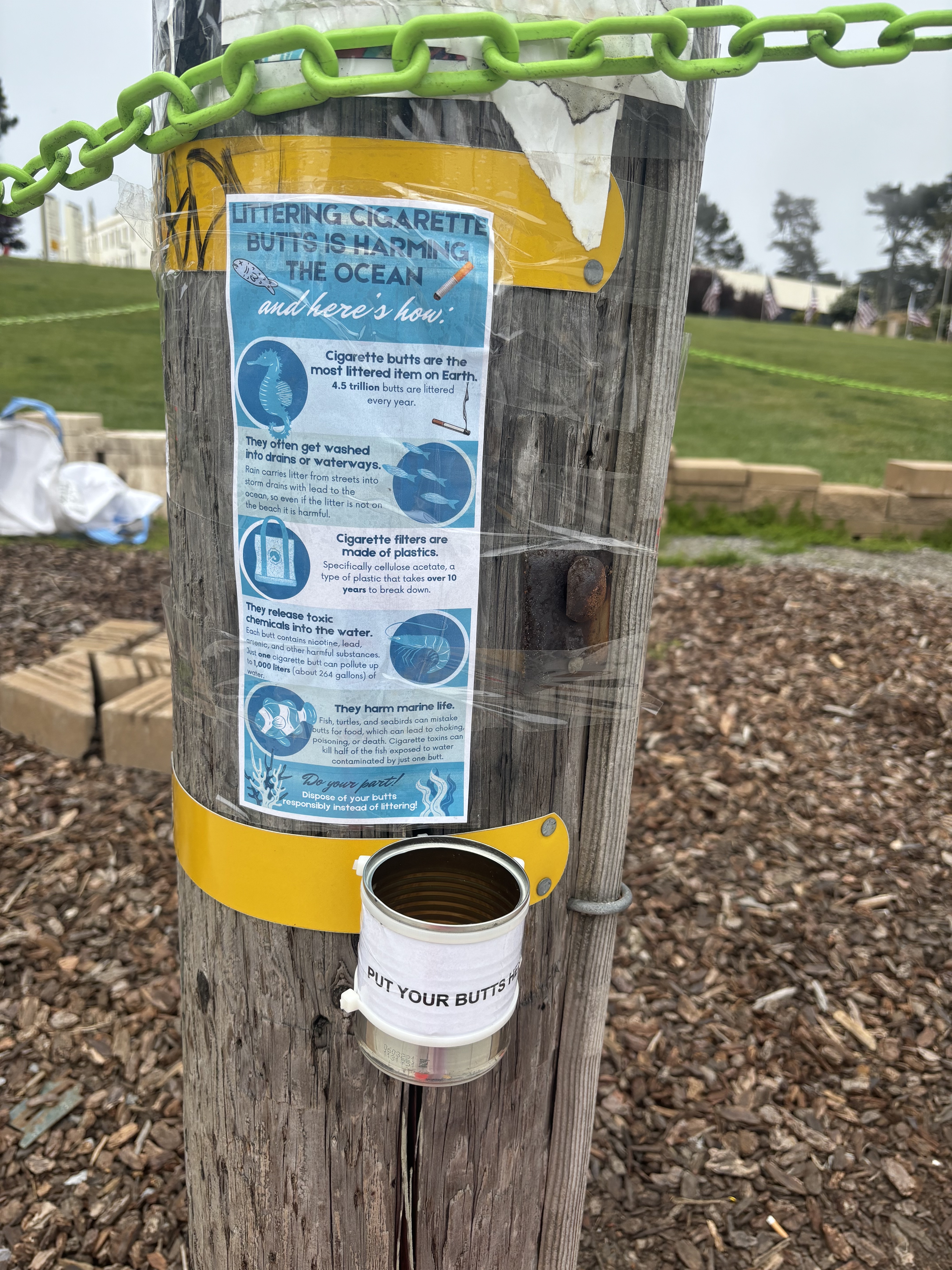 Skylla McArthur - Cigarette Butts & Preventing Harm To Marine Life - Image 4