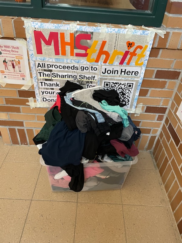 Sophie Steinberg - Save the Earth, One Thrift at a Time - Image 1