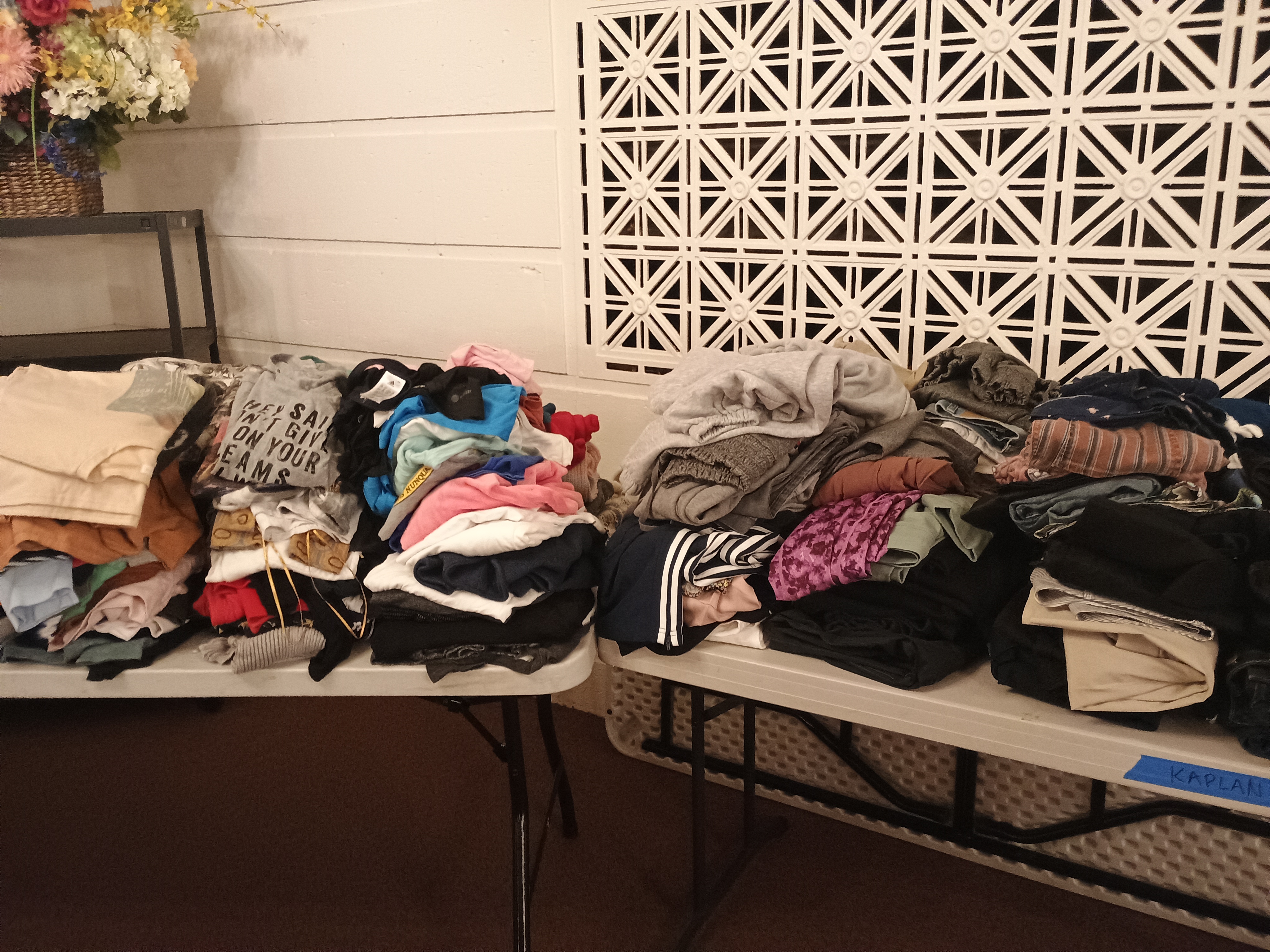 Sophie Steinberg - Save the Earth, One Thrift at a Time - Image 3