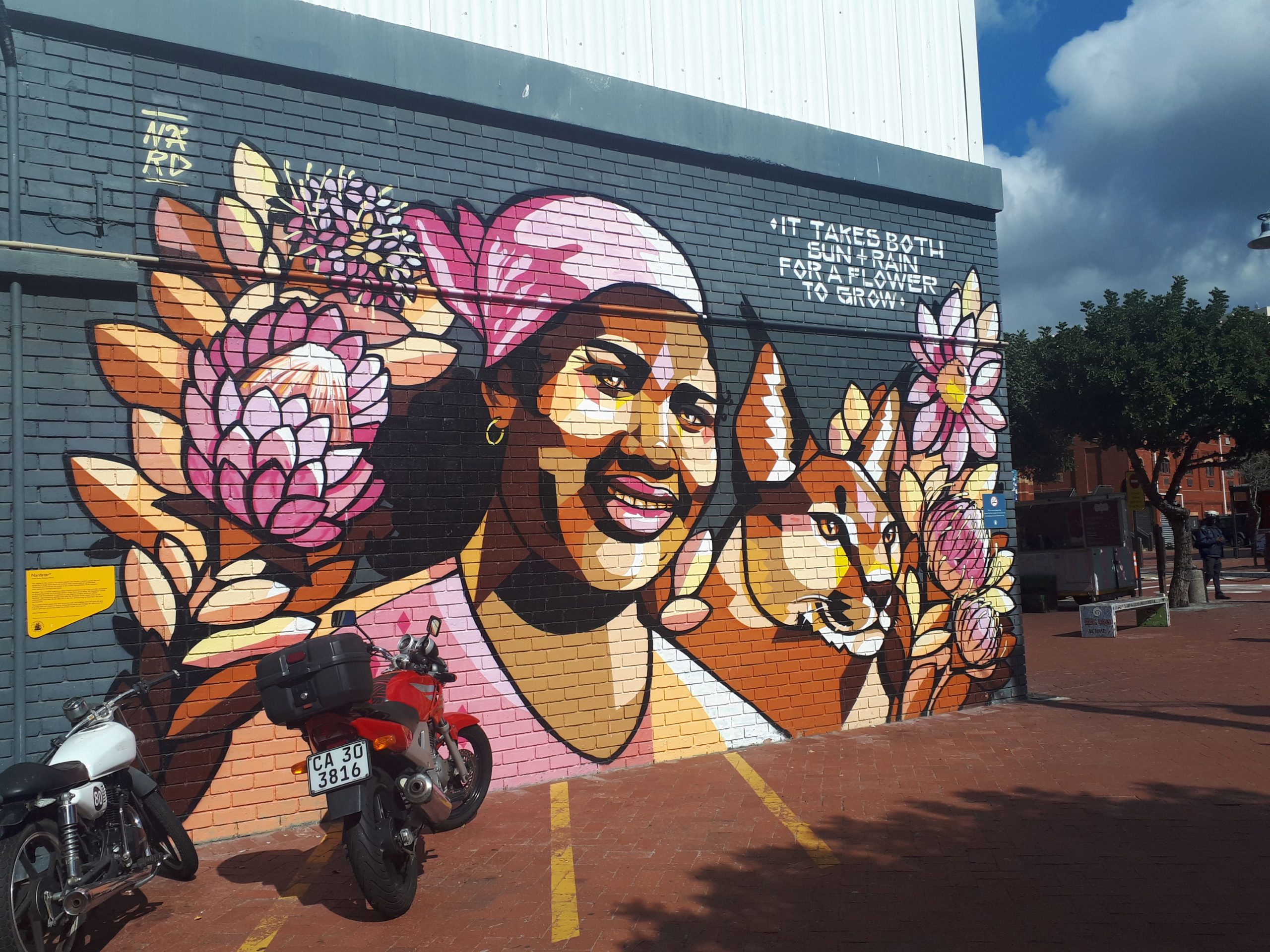 A mural of a woman with protea flowers and a caracal on a building wall, with motorbikes parked below