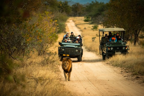 Teen travel programs in South Africa