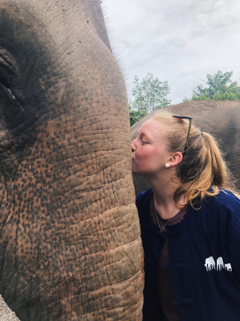 Rustic Pathways student with elephant in Thailand