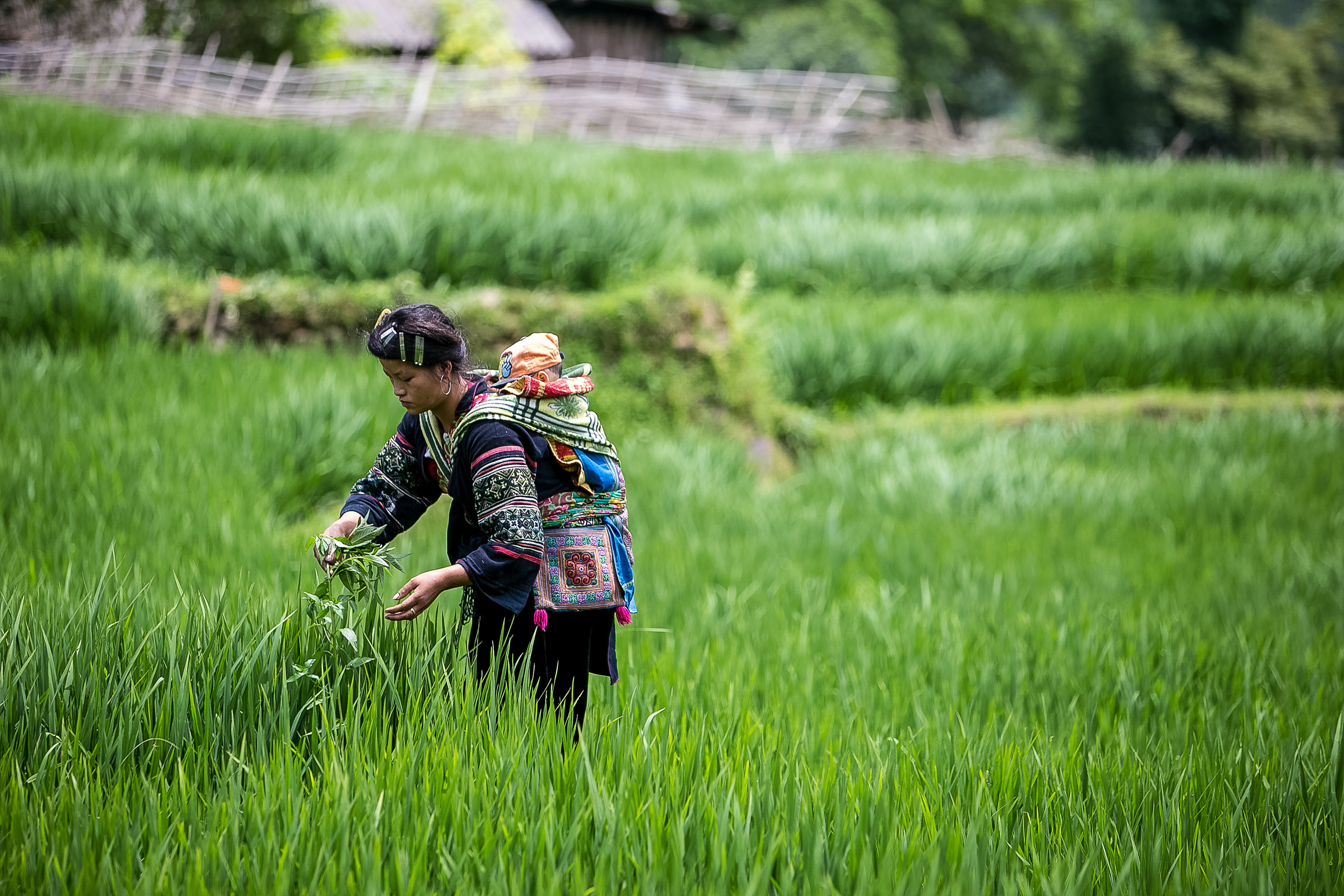 Teen travel programs in Myanmar