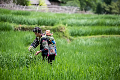 Myanmar