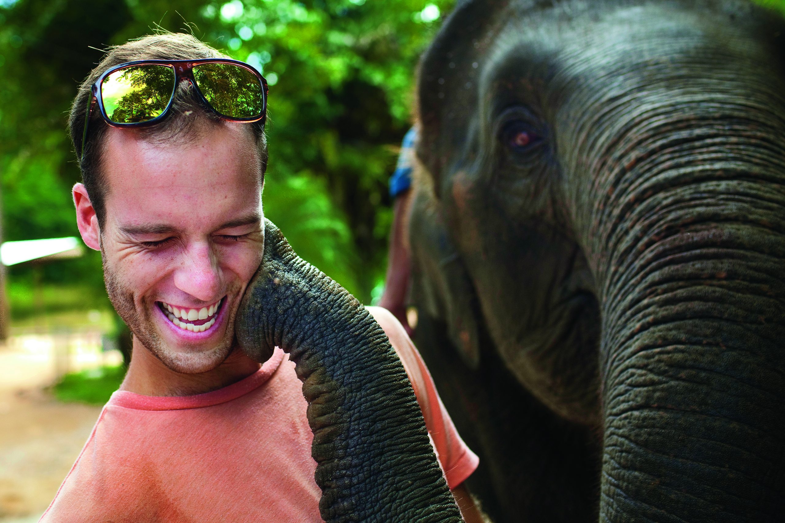 Student with an elephant during the Thai Elephant Conservation Project