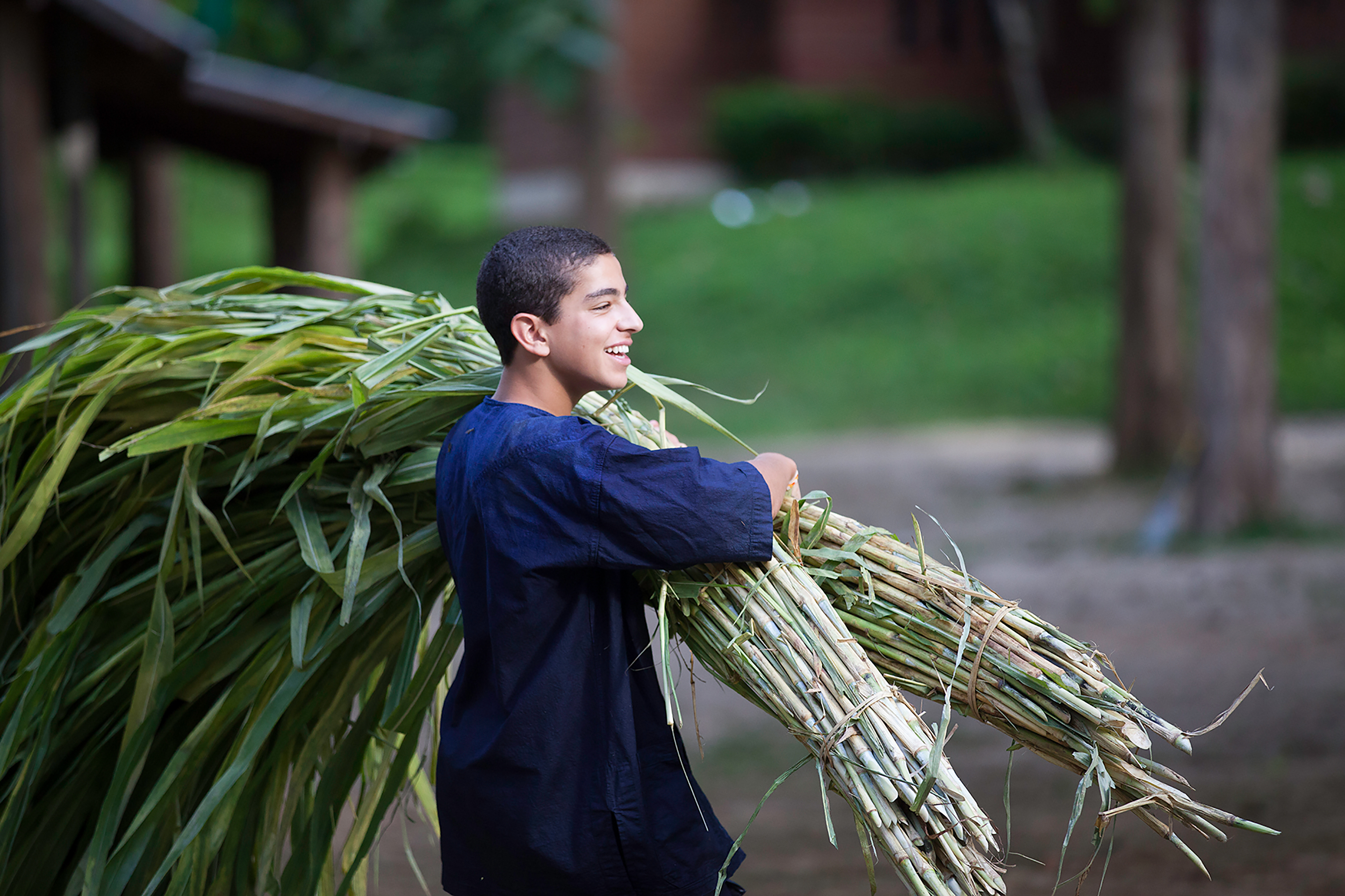Student carrying leaves in service project in Thailand.