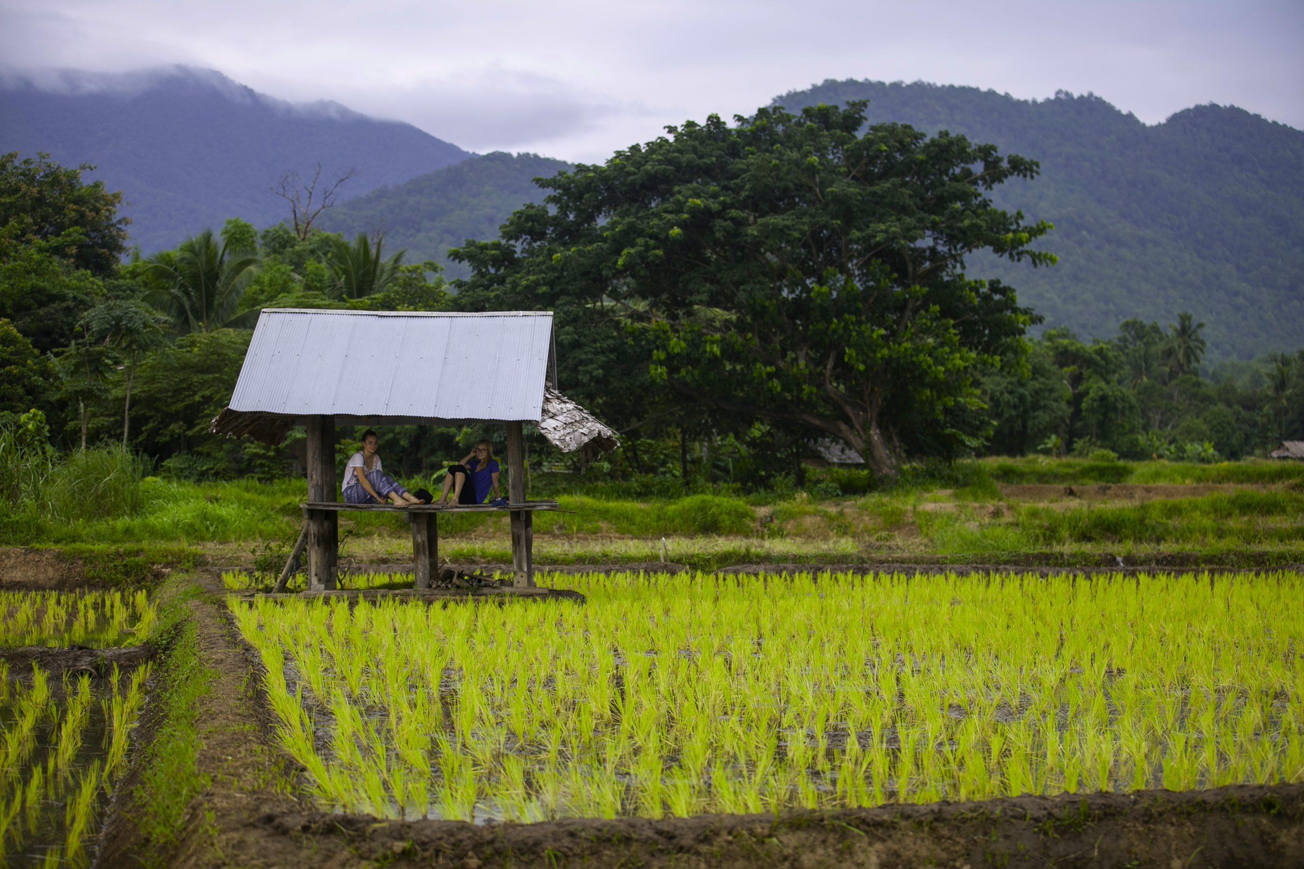 School Trip to Thailand: Northern Service Adventure